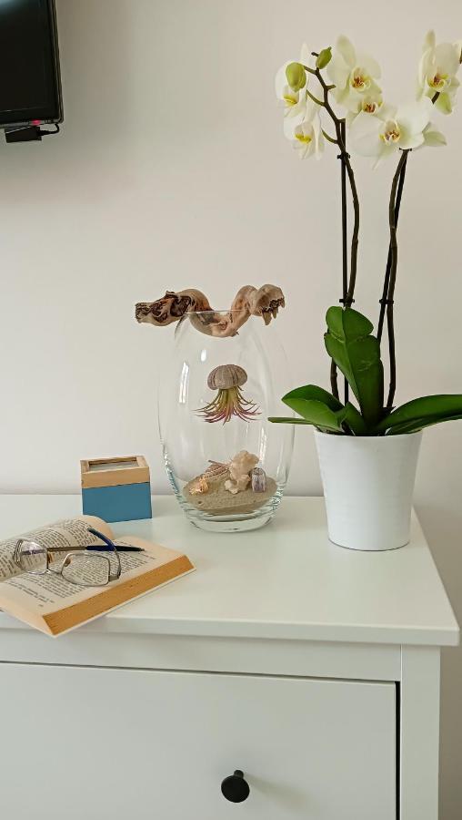 Peggy House Apartment ลาสเปเซีย ภายนอก รูปภาพ